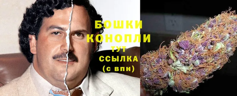 Канабис White Widow  купить закладку  МЕГА зеркало  Аркадак 